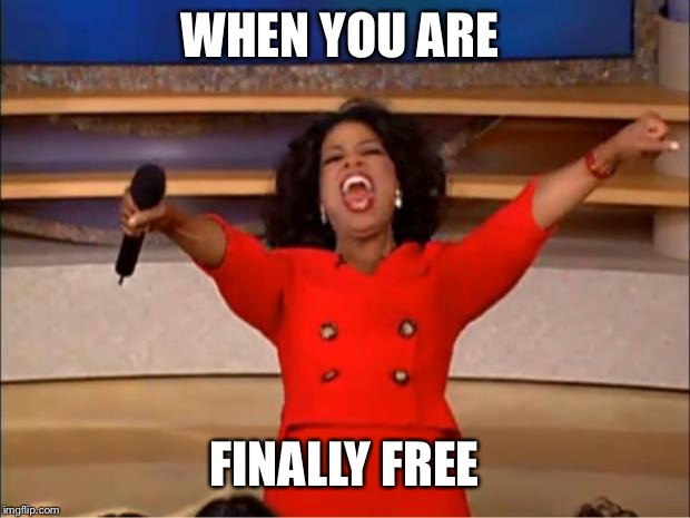 Oprah You Get A | WHEN YOU ARE; FINALLY FREE | image tagged in memes,oprah you get a | made w/ Imgflip meme maker