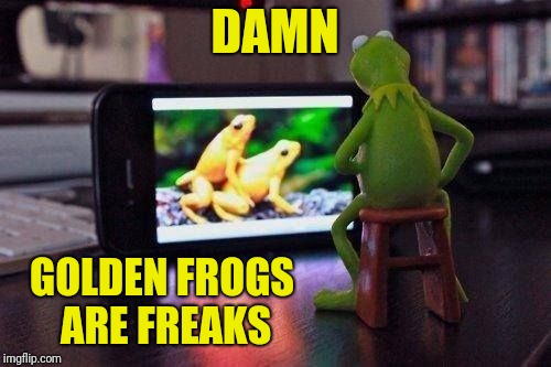 DAMN GOLDEN FROGS ARE FREAKS | made w/ Imgflip meme maker