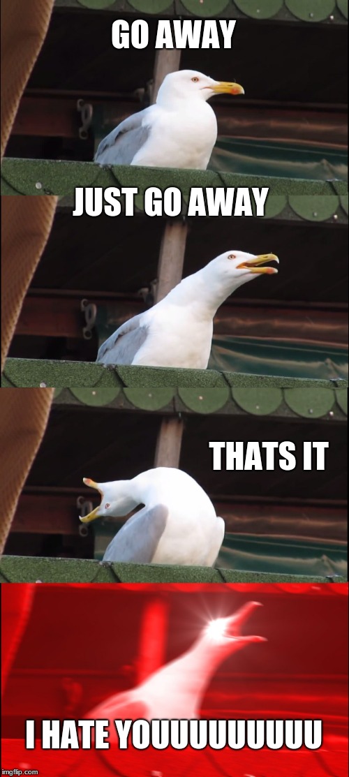 Inhaling Seagull Meme | GO AWAY; JUST GO AWAY; THATS IT; I HATE YOUUUUUUUUU | image tagged in memes,inhaling seagull | made w/ Imgflip meme maker