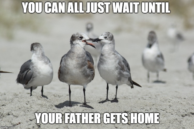 Wait until your father gets home | YOU CAN ALL JUST WAIT UNTIL; YOUR FATHER GETS HOME | image tagged in funny animals | made w/ Imgflip meme maker