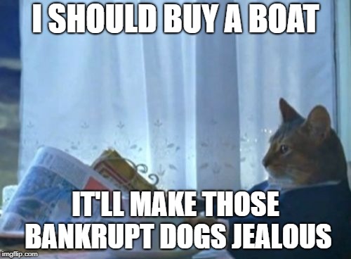 Rich Cat | I SHOULD BUY A BOAT; IT'LL MAKE THOSE BANKRUPT DOGS JEALOUS | image tagged in memes,i should buy a boat cat | made w/ Imgflip meme maker