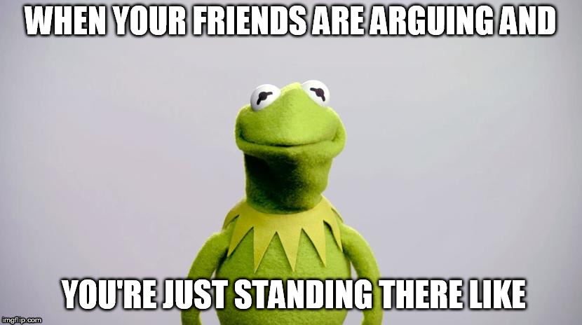 WHEN YOUR FRIENDS ARE ARGUING AND; YOU'RE JUST STANDING THERE LIKE | image tagged in kermit the frog,friends,awkward | made w/ Imgflip meme maker