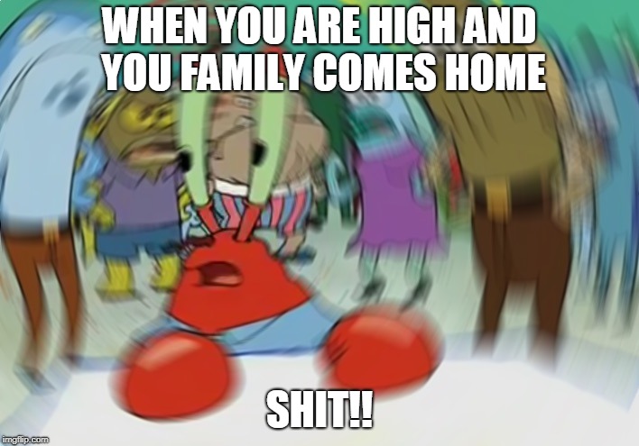 Mr Krabs Blur Meme | WHEN YOU ARE HIGH AND YOU FAMILY COMES HOME; SHIT!! | image tagged in memes,mr krabs blur meme | made w/ Imgflip meme maker