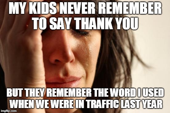 First World Problems Meme | MY KIDS NEVER REMEMBER TO SAY THANK YOU; BUT THEY REMEMBER THE WORD I USED WHEN WE WERE IN TRAFFIC LAST YEAR | image tagged in memes,first world problems | made w/ Imgflip meme maker