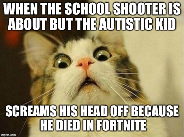 Scared Cat Meme | WHEN THE SCHOOL SHOOTER IS ABOUT BUT THE AUTISTIC KID; SCREAMS HIS HEAD OFF BECAUSE HE DIED IN FORTNITE | image tagged in memes,scared cat | made w/ Imgflip meme maker