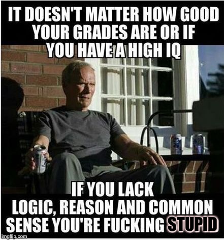 STUPID | image tagged in logically clint of the eastwood reason,happy memes,the dark meme,like a meme,meme u up | made w/ Imgflip meme maker