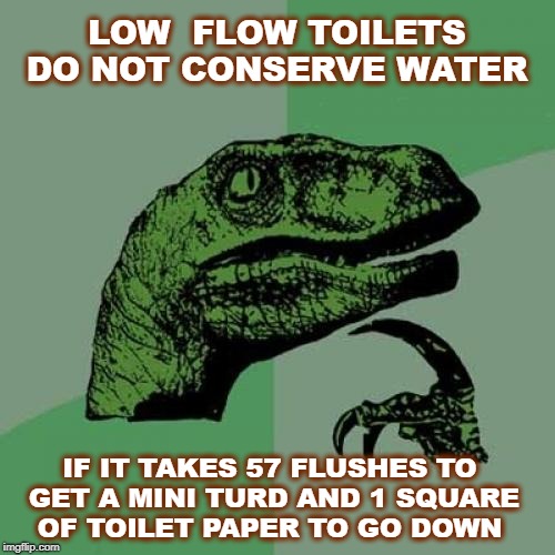 critical thinking while pooping  | LOW  FLOW TOILETS DO NOT CONSERVE WATER; IF IT TAKES 57 FLUSHES TO GET A MINI TURD AND 1 SQUARE OF TOILET PAPER TO GO DOWN | image tagged in memes,philosoraptor,funny,toilet humor,pooping | made w/ Imgflip meme maker