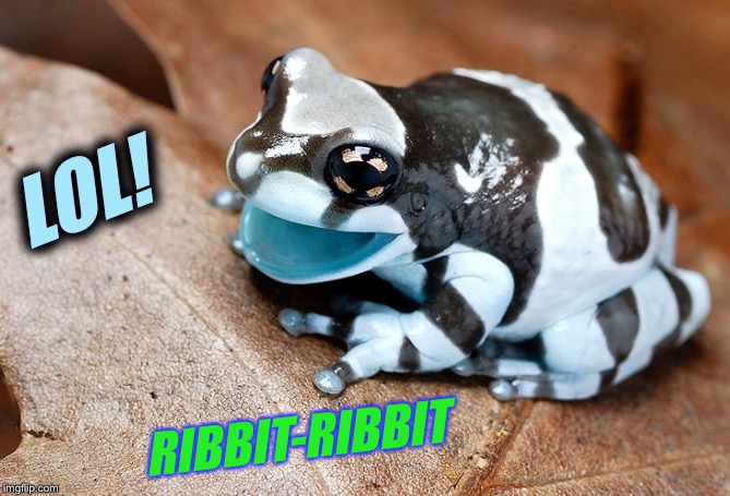 RIBBIT-RIBBIT | made w/ Imgflip meme maker