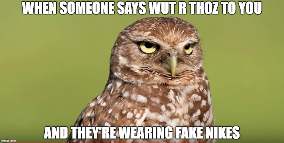 Death Stare Owl | WHEN SOMEONE SAYS WUT R THOZ TO YOU; AND THEY'RE WEARING FAKE NIKES | image tagged in death stare owl,memes,doctordoomsday180,what are those,fake,nike | made w/ Imgflip meme maker