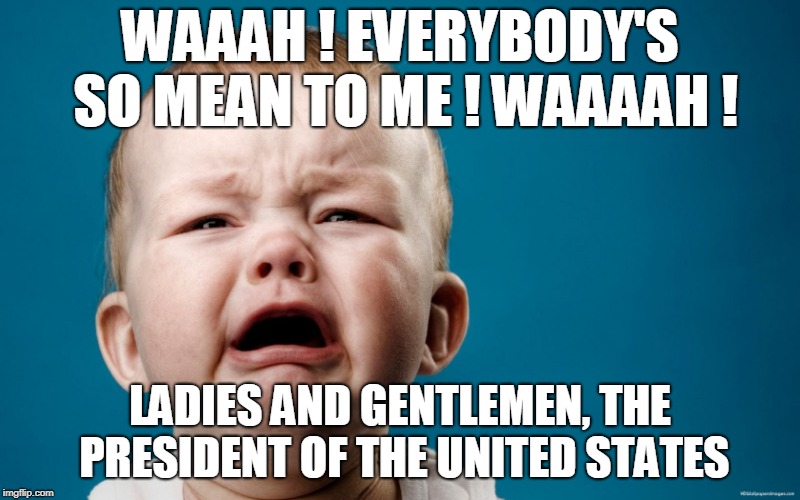 WAAAH ! EVERYBODY'S SO MEAN TO ME ! WAAAAH ! LADIES AND GENTLEMEN, THE PRESIDENT OF THE UNITED STATES | image tagged in trump | made w/ Imgflip meme maker