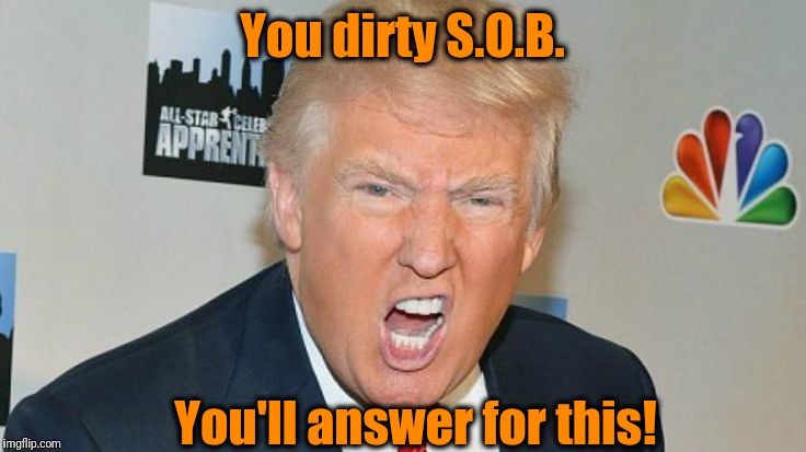 You dirty S.O.B. You'll answer for this! | image tagged in trump mad | made w/ Imgflip meme maker
