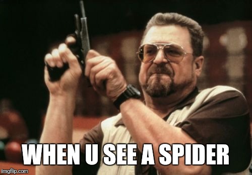 Am I The Only One Around Here | WHEN U SEE A SPIDER | image tagged in memes,am i the only one around here | made w/ Imgflip meme maker