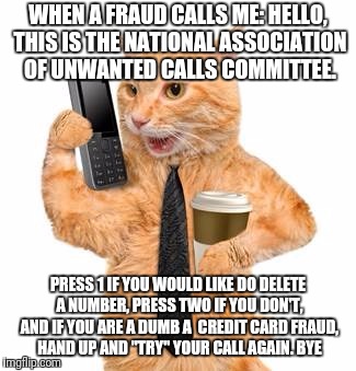 Business Cat | WHEN A FRAUD CALLS ME: HELLO, THIS IS THE NATIONAL ASSOCIATION OF UNWANTED CALLS COMMITTEE. PRESS 1 IF YOU WOULD LIKE DO DELETE A NUMBER, PRESS TWO IF YOU DON'T, AND IF YOU ARE A DUMB A  CREDIT CARD FRAUD, HAND UP AND "TRY" YOUR CALL AGAIN. BYE | image tagged in business cat | made w/ Imgflip meme maker