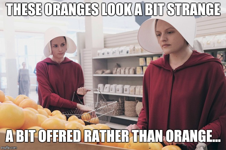 Handmaids | THESE ORANGES LOOK A BIT STRANGE; A BIT OFFRED RATHER THAN ORANGE... | image tagged in handmaids | made w/ Imgflip meme maker