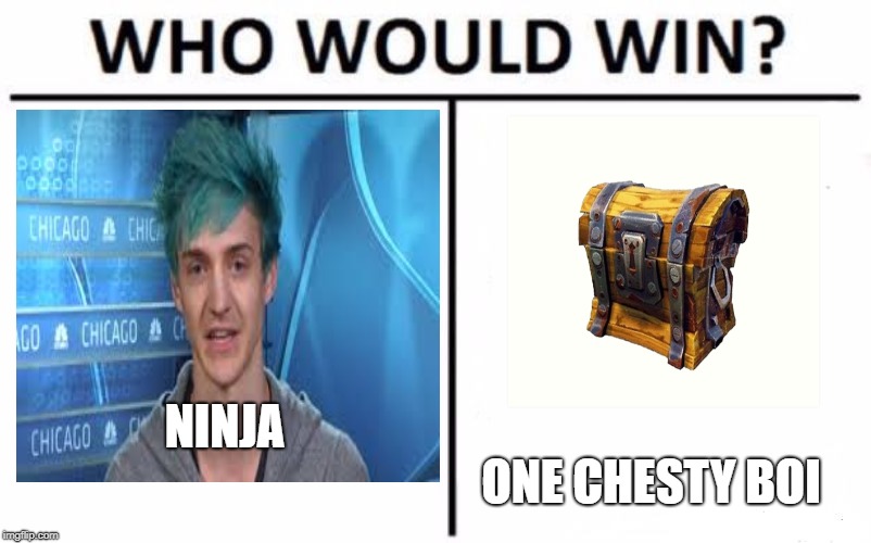 Who Would Win? Meme | NINJA; ONE CHESTY BOI | image tagged in memes,who would win | made w/ Imgflip meme maker