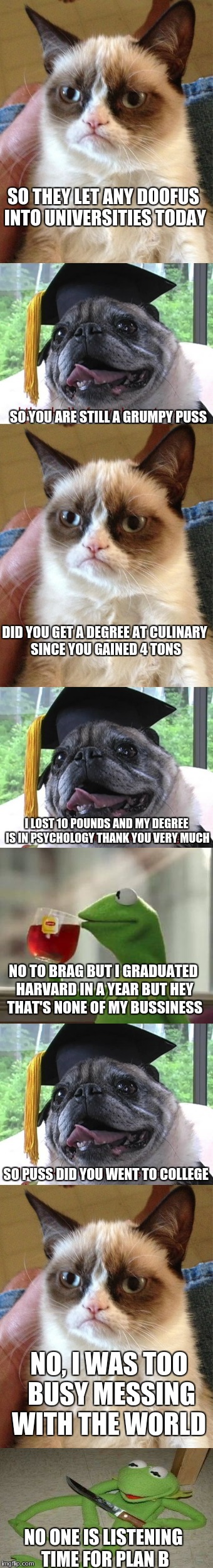 A late submission for frog week but hey it's still a meme right? | SO THEY LET ANY DOOFUS INTO UNIVERSITIES TODAY; SO YOU ARE STILL A GRUMPY PUSS; DID YOU GET A DEGREE AT CULINARY SINCE YOU GAINED 4 TONS; I LOST 10 POUNDS AND MY DEGREE IS IN PSYCHOLOGY THANK YOU VERY MUCH; NO TO BRAG BUT I GRADUATED HARVARD IN A YEAR BUT HEY THAT'S NONE OF MY BUSSINESS; SO PUSS DID YOU WENT TO COLLEGE; NO, I WAS TOO BUSY MESSING WITH THE WORLD; NO ONE IS LISTENING TIME FOR PLAN B | image tagged in memes,grumpy cat,kermit the frog,pugs,graduation,cutting | made w/ Imgflip meme maker