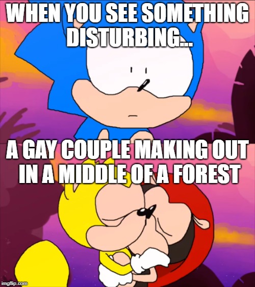 Sonic finds ray and mighty | WHEN YOU SEE SOMETHING DISTURBING... A GAY COUPLE MAKING OUT IN A MIDDLE OF A FOREST | image tagged in dank memes,funny memes,gay | made w/ Imgflip meme maker