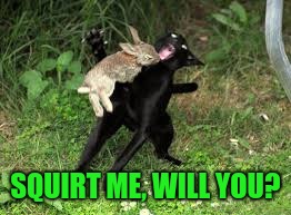 Take that, Cat! | SQUIRT ME, WILL YOU? | image tagged in take that cat! | made w/ Imgflip meme maker