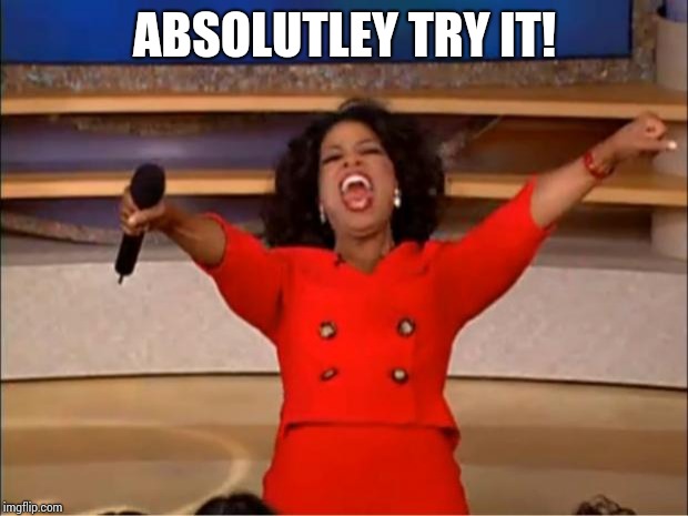 Oprah You Get A Meme | ABSOLUTLEY TRY IT! | image tagged in memes,oprah you get a | made w/ Imgflip meme maker