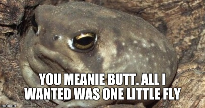 YOU MEANIE BUTT. ALL I WANTED WAS ONE LITTLE FLY | made w/ Imgflip meme maker
