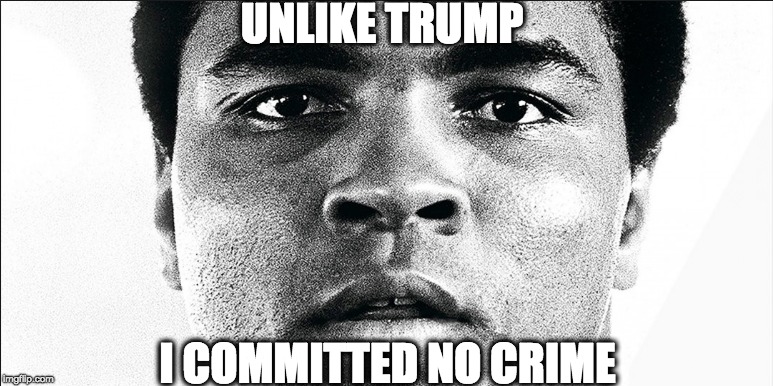 UNLIKE TRUMP; I COMMITTED NO CRIME | image tagged in memes | made w/ Imgflip meme maker
