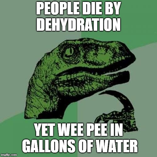 we are dumb | PEOPLE DIE BY DEHYDRATION; YET WEE PEE IN GALLONS OF WATER | image tagged in memes,philosoraptor,logic,meme,thinking meme,water | made w/ Imgflip meme maker
