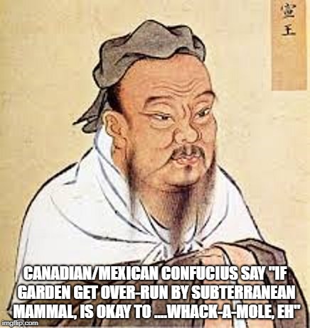 CANADIAN/MEXICAN CONFUCIUS SAY "IF GARDEN GET OVER-RUN BY SUBTERRANEAN MAMMAL, IS OKAY TO ....WHACK-A-MOLE, EH" | made w/ Imgflip meme maker