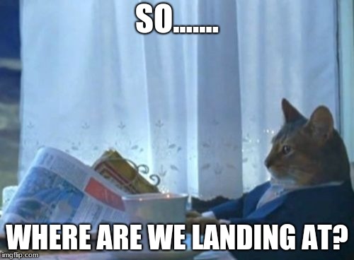 I Should Buy A Boat Cat | SO....... WHERE ARE WE LANDING AT? | image tagged in memes,i should buy a boat cat | made w/ Imgflip meme maker