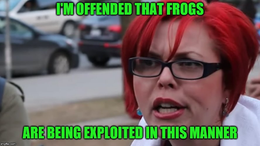 I'M OFFENDED THAT FROGS ARE BEING EXPLOITED IN THIS MANNER | made w/ Imgflip meme maker