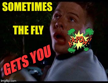 SOMETIMES THE FLY GETS YOU | made w/ Imgflip meme maker