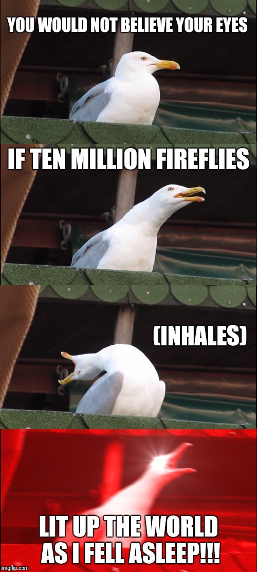 Inhaling Seagull | YOU WOULD NOT BELIEVE YOUR EYES; IF TEN MILLION FIREFLIES; (INHALES); LIT UP THE WORLD AS I FELL ASLEEP!!! | image tagged in memes,inhaling seagull | made w/ Imgflip meme maker