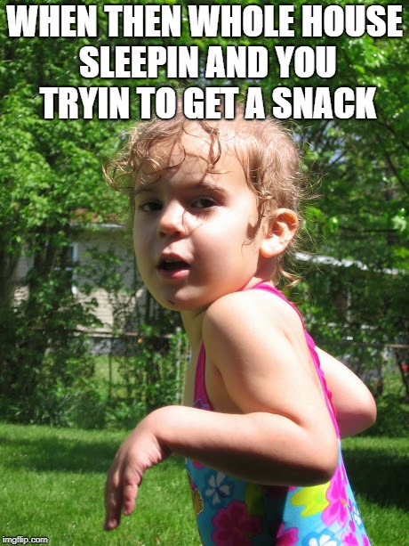 Silence | WHEN THEN WHOLE HOUSE SLEEPIN AND YOU TRYIN TO GET A SNACK | image tagged in silence | made w/ Imgflip meme maker