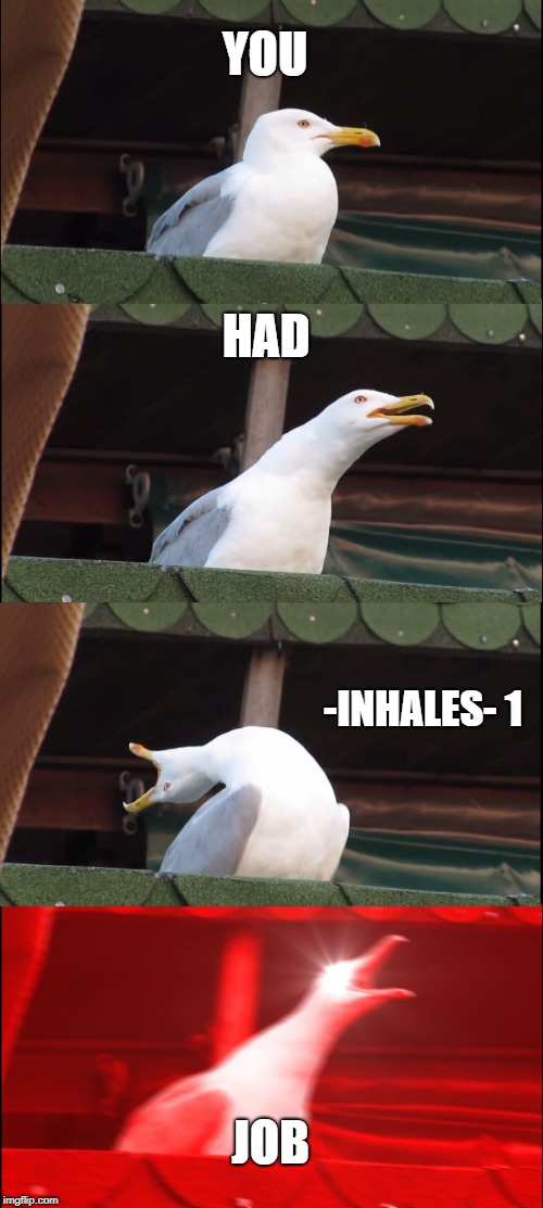 Inhaling Seagull | YOU; HAD; -INHALES- 1; JOB | image tagged in memes,inhaling seagull | made w/ Imgflip meme maker