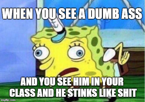 Mocking Spongebob | WHEN YOU SEE A DUMB ASS; AND YOU SEE HIM IN YOUR CLASS AND HE STINKS LIKE SHIT | image tagged in memes,mocking spongebob | made w/ Imgflip meme maker