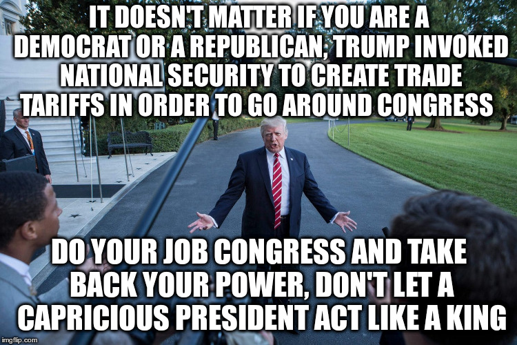 Congress should be a co-equal branch of government | IT DOESN'T MATTER IF YOU ARE A DEMOCRAT OR A REPUBLICAN, TRUMP INVOKED NATIONAL SECURITY TO CREATE TRADE TARIFFS IN ORDER TO GO AROUND CONGRESS; DO YOUR JOB CONGRESS AND TAKE BACK YOUR POWER, DON'T LET A CAPRICIOUS PRESIDENT ACT LIKE A KING | image tagged in trump,trade tariffs,congress,co-equal,government | made w/ Imgflip meme maker