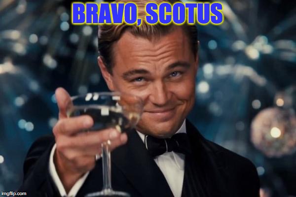 Leonardo Dicaprio Cheers Meme | BRAVO, SCOTUS | image tagged in memes,leonardo dicaprio cheers | made w/ Imgflip meme maker