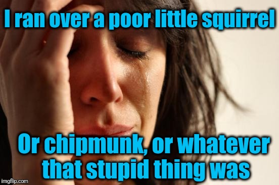 First World Problems Meme | I ran over a poor little squirrel Or chipmunk, or whatever that stupid thing was | image tagged in memes,first world problems | made w/ Imgflip meme maker
