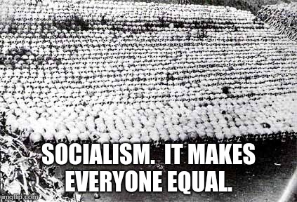Socialists in action  | SOCIALISM.  IT MAKES EVERYONE EQUAL. | image tagged in socialists in action | made w/ Imgflip meme maker