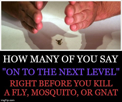 On To... | image tagged in kill,mosquito,fly,gnat,clap | made w/ Imgflip meme maker