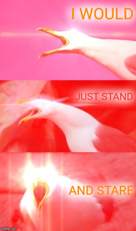 Inhaling Seagull Reply | I WOULD AND STARE JUST STAND | image tagged in inhaling seagull reply | made w/ Imgflip meme maker
