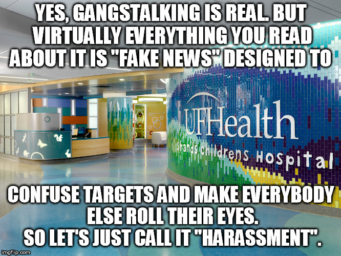 Gangstalking is Real | YES, GANGSTALKING IS REAL. BUT VIRTUALLY EVERYTHING YOU READ ABOUT IT IS "FAKE NEWS" DESIGNED TO; CONFUSE TARGETS AND MAKE EVERYBODY ELSE ROLL THEIR EYES. SO LET'S JUST CALL IT "HARASSMENT". | image tagged in ufhealth ufhealthshands shandshospital gangstalking | made w/ Imgflip meme maker