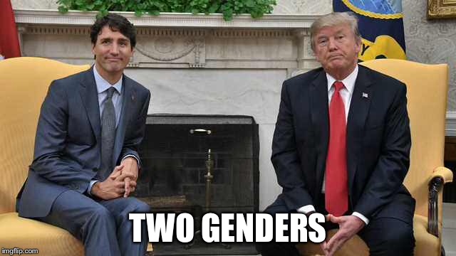 TWO GENDERS | image tagged in trump,justin trudeau,2 genders | made w/ Imgflip meme maker