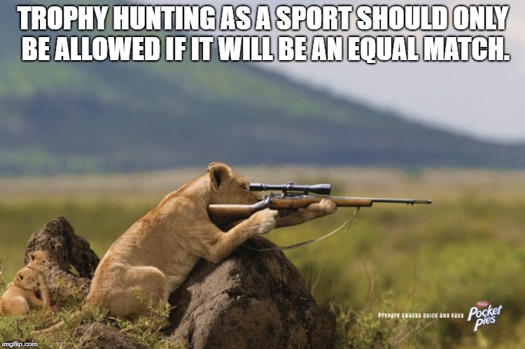 TROPHY HUNTING AS A SPORT SHOULD ONLY BE ALLOWED IF IT WILL BE AN EQUAL MATCH. | image tagged in hunting | made w/ Imgflip meme maker