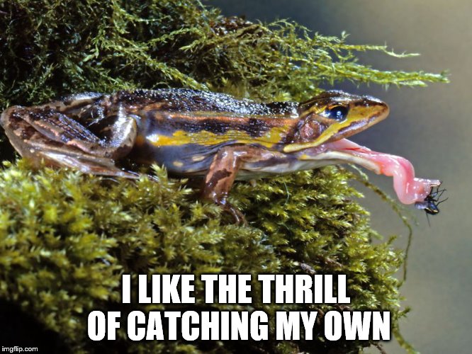 I LIKE THE THRILL OF CATCHING MY OWN | made w/ Imgflip meme maker