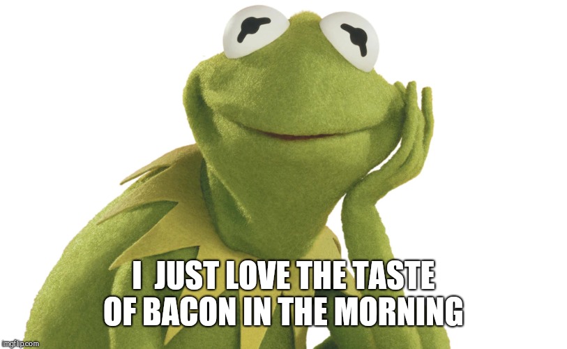 I  JUST LOVE THE TASTE OF BACON IN THE MORNING | made w/ Imgflip meme maker