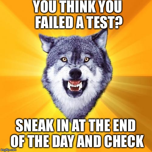 Courage Wolf Meme | YOU THINK YOU FAILED A TEST? SNEAK IN AT THE END OF THE DAY AND CHECK | image tagged in memes,courage wolf | made w/ Imgflip meme maker