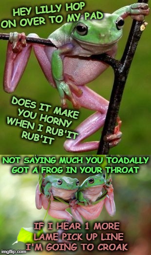 Frog Pick Up Lines : Chat Up Expert What Ails You King S Daughter ...