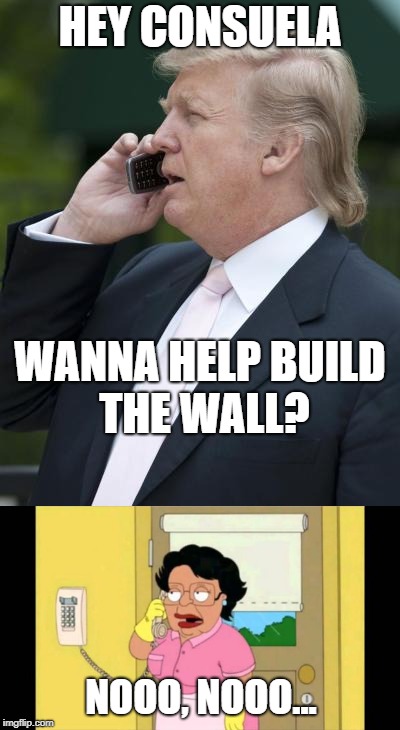Trump and Consuela | HEY CONSUELA; WANNA HELP BUILD THE WALL? NOOO, NOOO... | image tagged in trump,consuela,build a wall | made w/ Imgflip meme maker