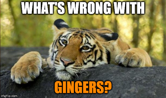 WHAT'S WRONG WITH GINGERS? | made w/ Imgflip meme maker