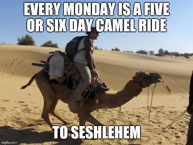 When Monday starts  | EVERY MONDAY IS A FIVE OR SIX DAY CAMEL RIDE; TO SESHLEHEM | image tagged in camel - loaded,memes,sesh,weekend memes,seshlehem,sesh memes | made w/ Imgflip meme maker